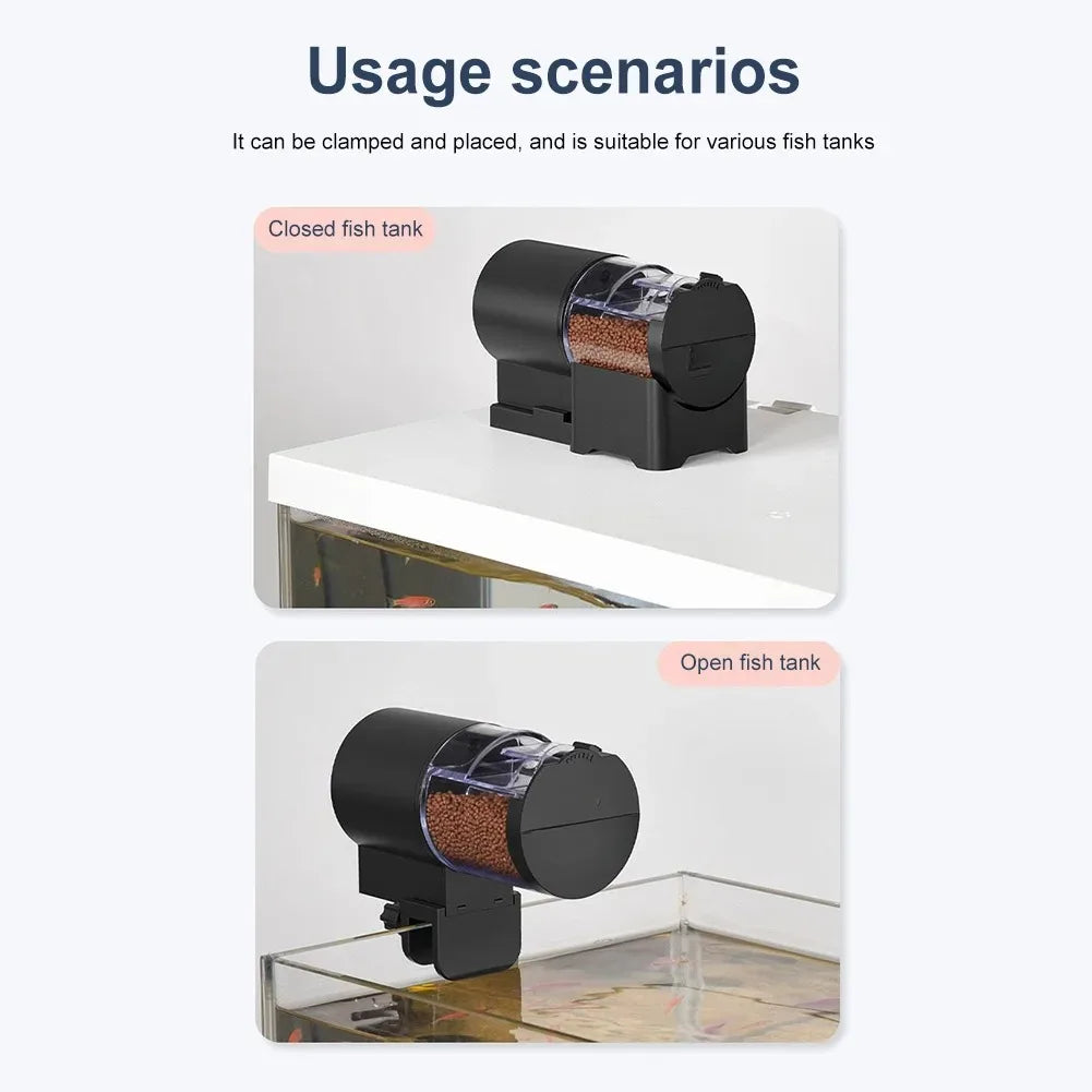 Smart Auto Fish Feeder