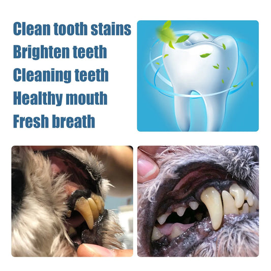 3 Ml Pet Teeth Cleaning Tools