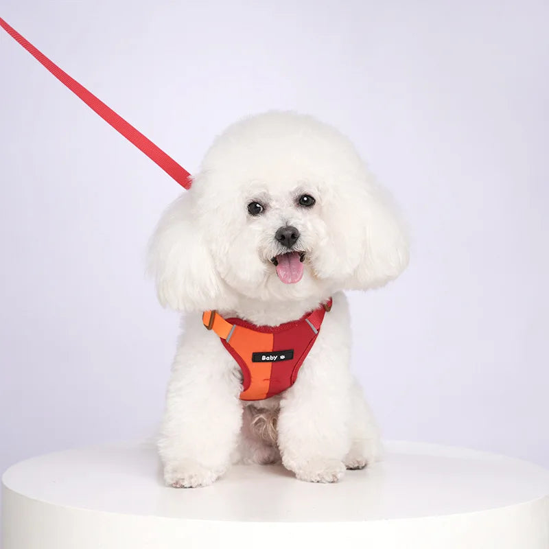 Reflective Dog Harness & Leash Set