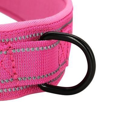 Reflective No-Pull Nylon Dog Harness