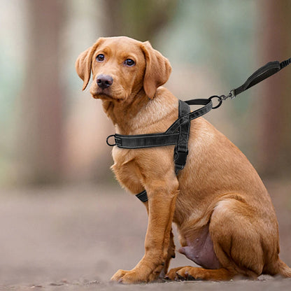 Reflective No-Pull Nylon Dog Harness