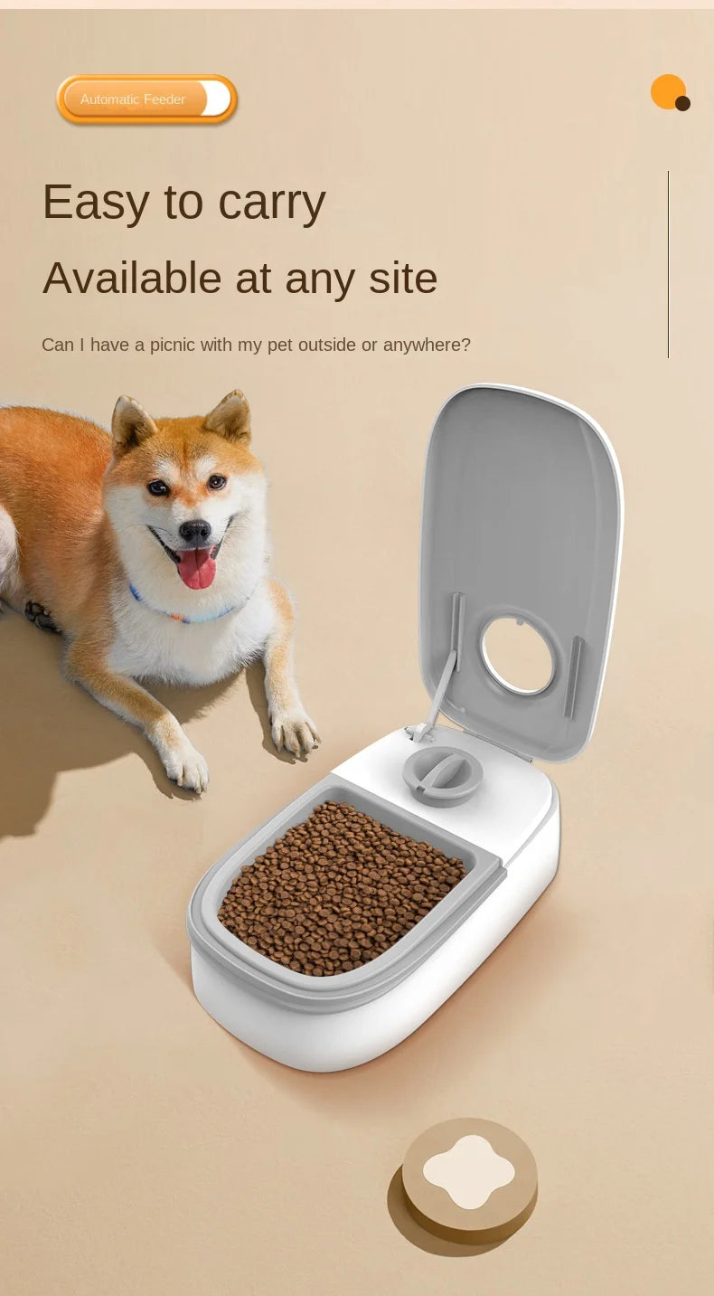 Single Automatic Pet Food Dispenser Bowl