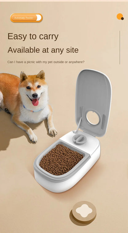 Single Automatic Pet Food Dispenser Bowl