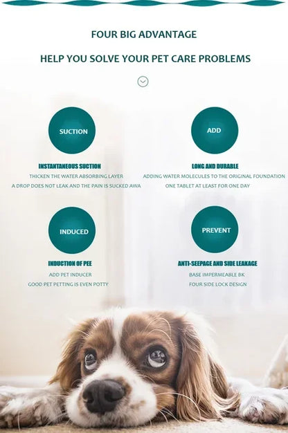 Dog Pee Pad Blanket Reusable