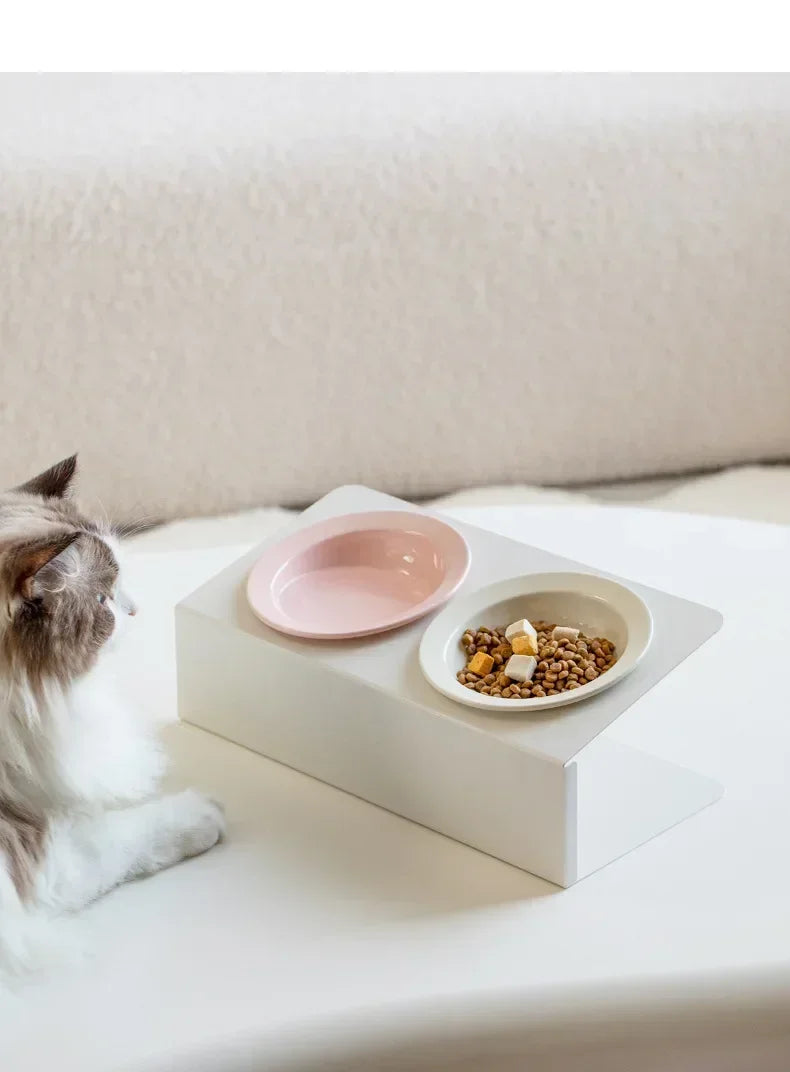 Pet Elevated Raised Food Water Bowls