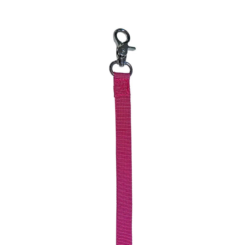 Reflective Dog Harness & Leash Set