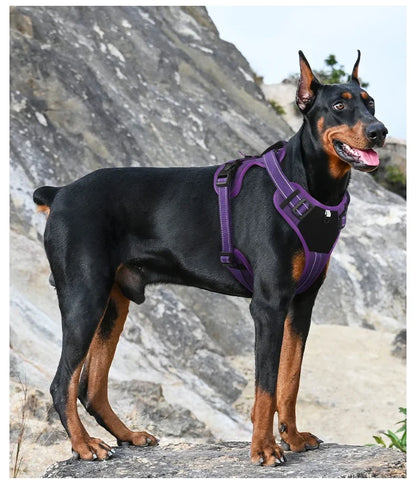 Multi Functional Nylon Reflective Dog Harness