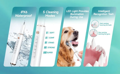Electric Pet Ultrasonic Dental Cleaner