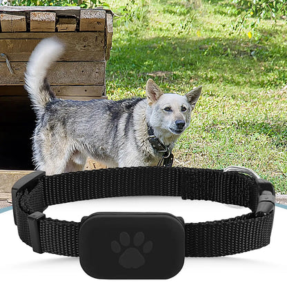 Pet GPS Collar