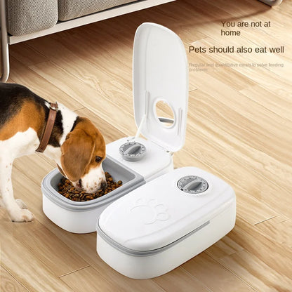 Single Automatic Pet Food Dispenser Bowl