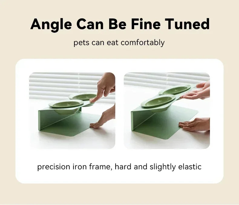 Pet Elevated Raised Food Water Bowls