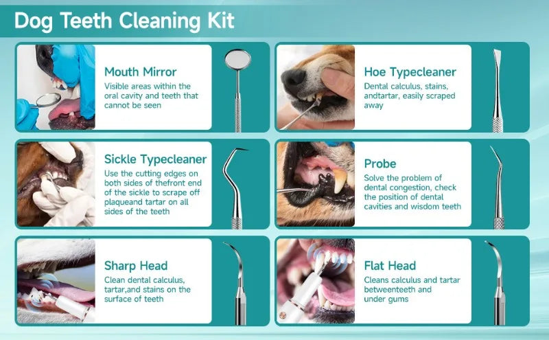 Electric Pet Ultrasonic Dental Cleaner