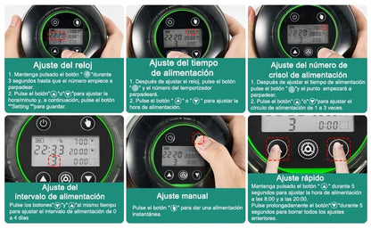 Automatic Food Dispenser with Timer