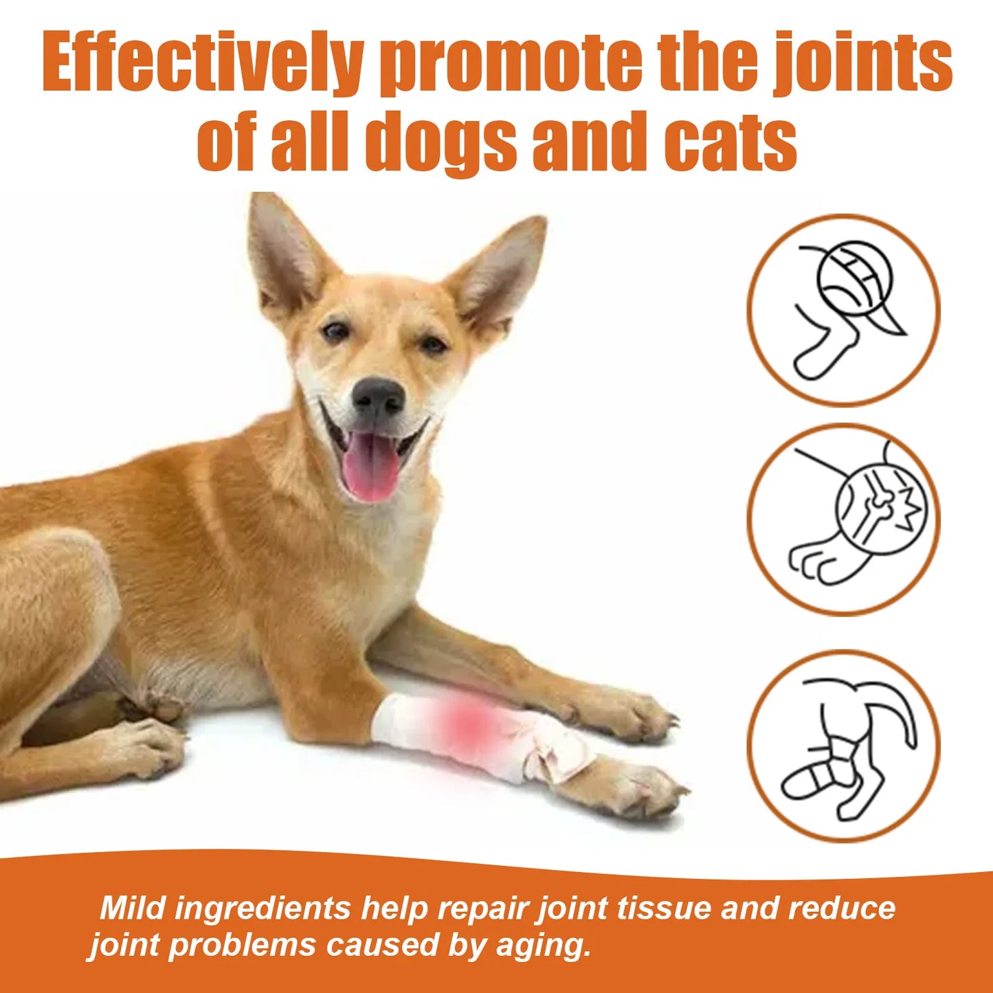 Pet Joint Care Drops Bone Deformities