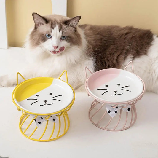 Elevated Cat Food Bowl Large Capacity