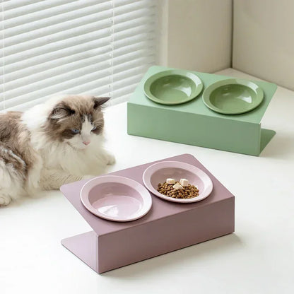Pet Elevated Raised Food Water Bowls