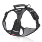 Breathable Reflective Pet Chest Strap