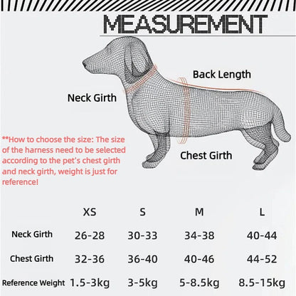 Reflective Dog Harness & Leash Set