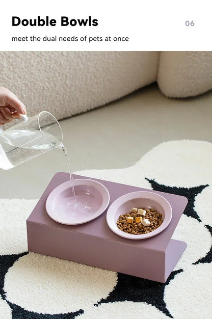 Pet Elevated Raised Food Water Bowls