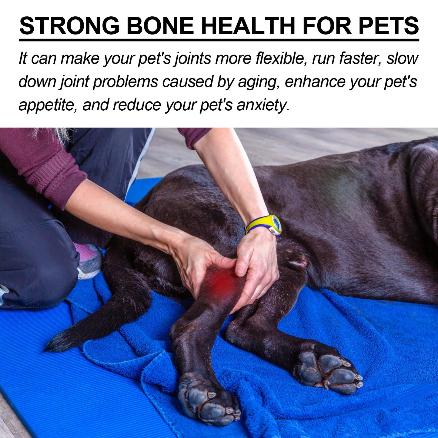 Pet Joint Repair Spray Bone Deformity