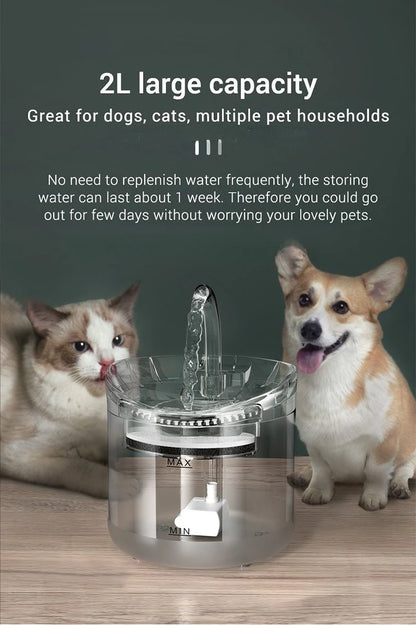 Auto Smart Cat Water Fountain