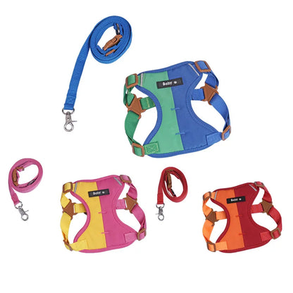 Reflective Dog Harness & Leash Set