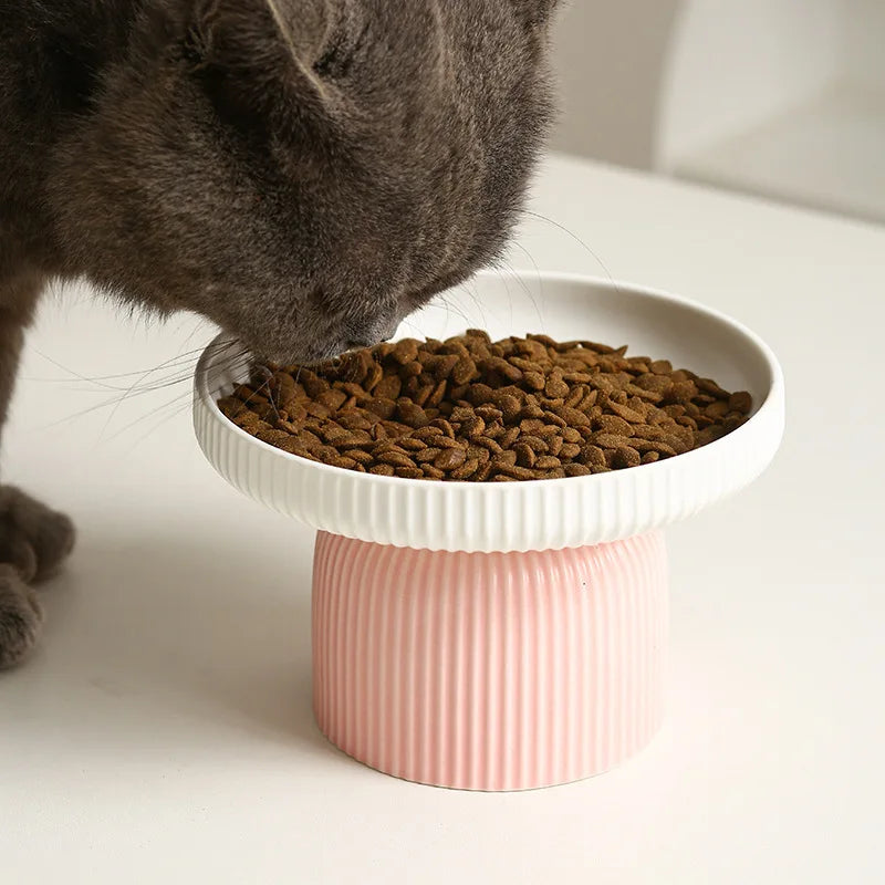 Elevated Ceramic Cat Bowl