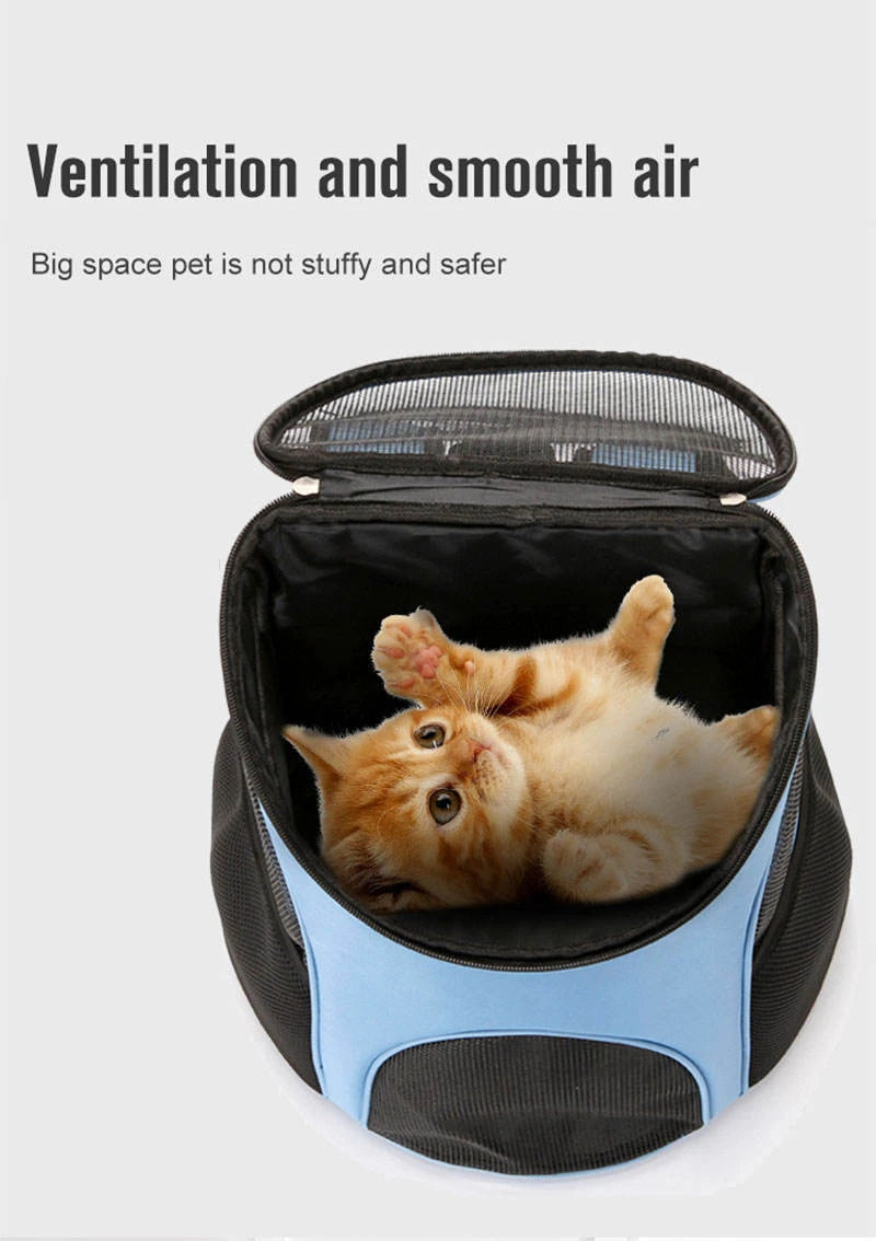 Portable Foldable Pet Mesh Carrier