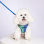 Reflective Dog Harness & Leash Set