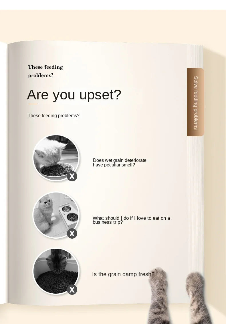 Single Automatic Pet Food Dispenser Bowl