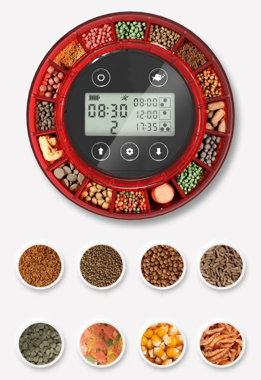 Automatic Food Dispenser with Timer