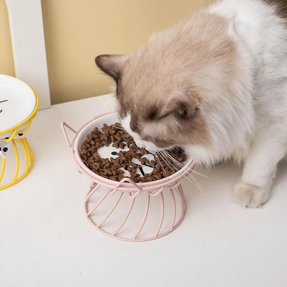 Elevated Cat Food Bowl Large Capacity