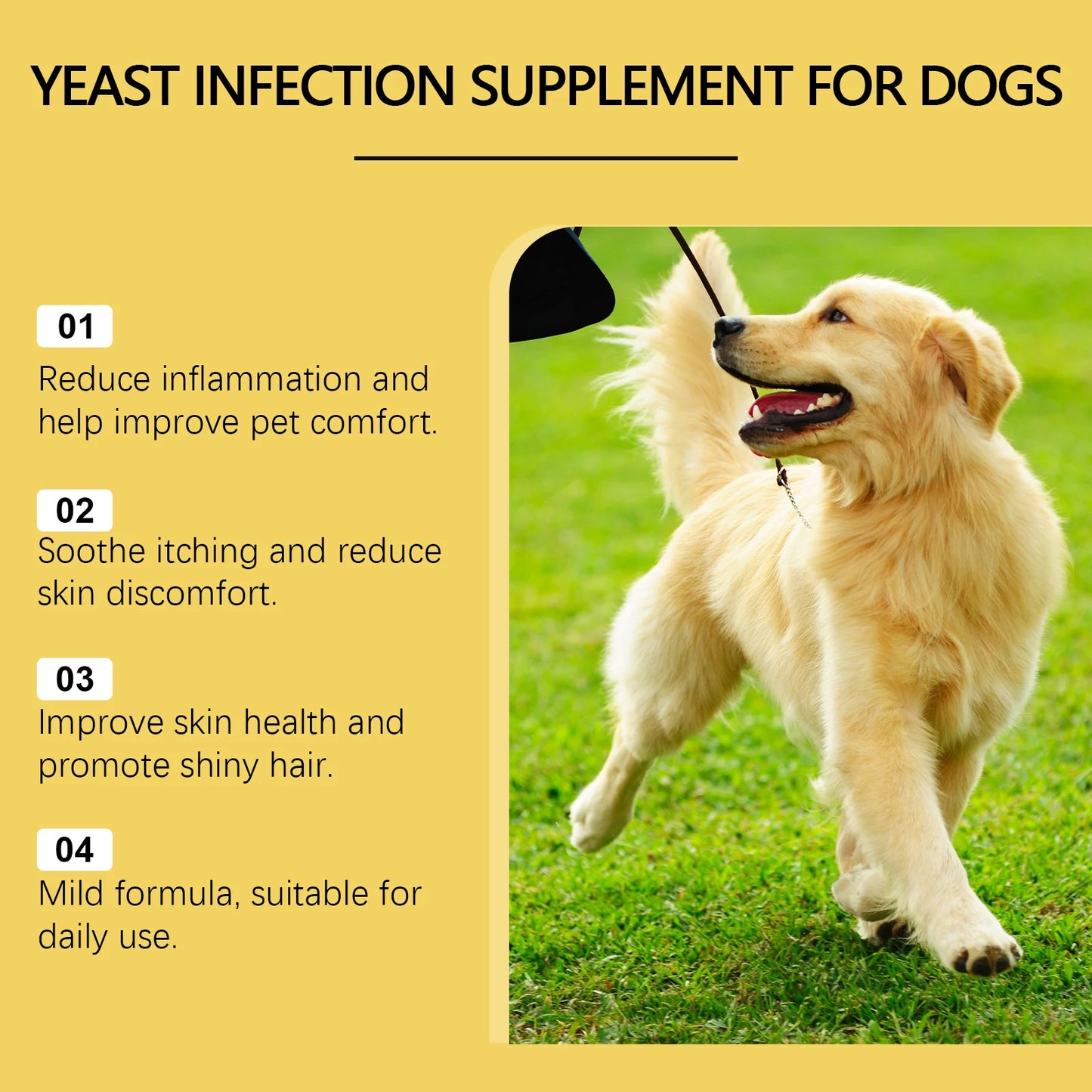 60ml Herbal Anti Inflammatory Pet Supplement
