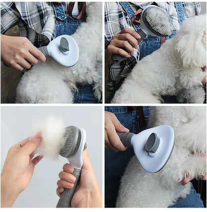 2-in-1 Pet Cleaning Brush