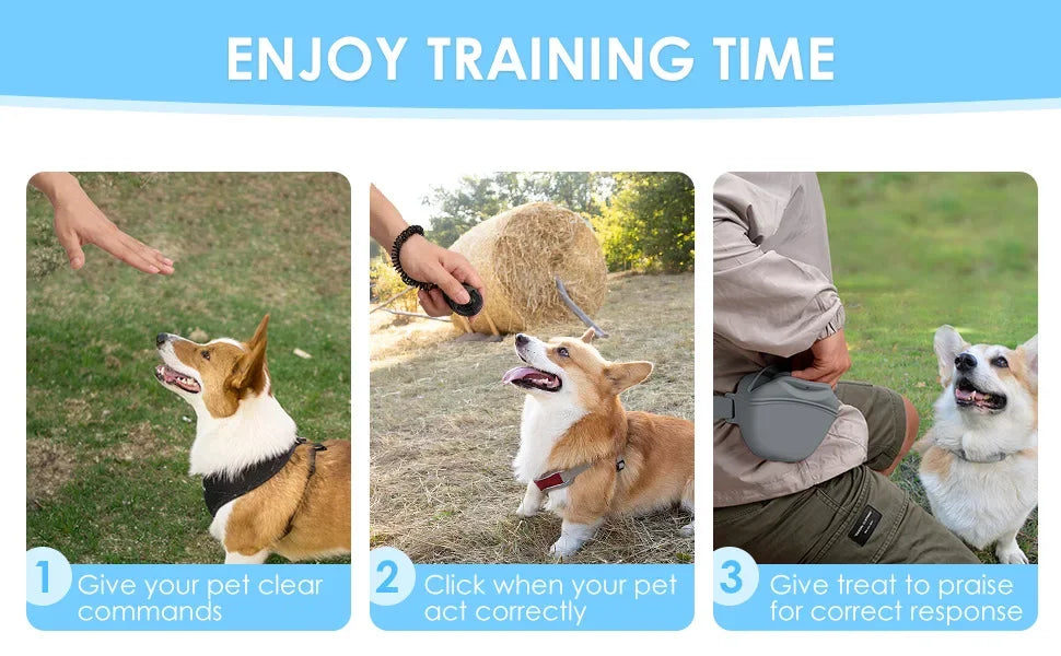 Silicone Treat Bag Outdoor Feeder