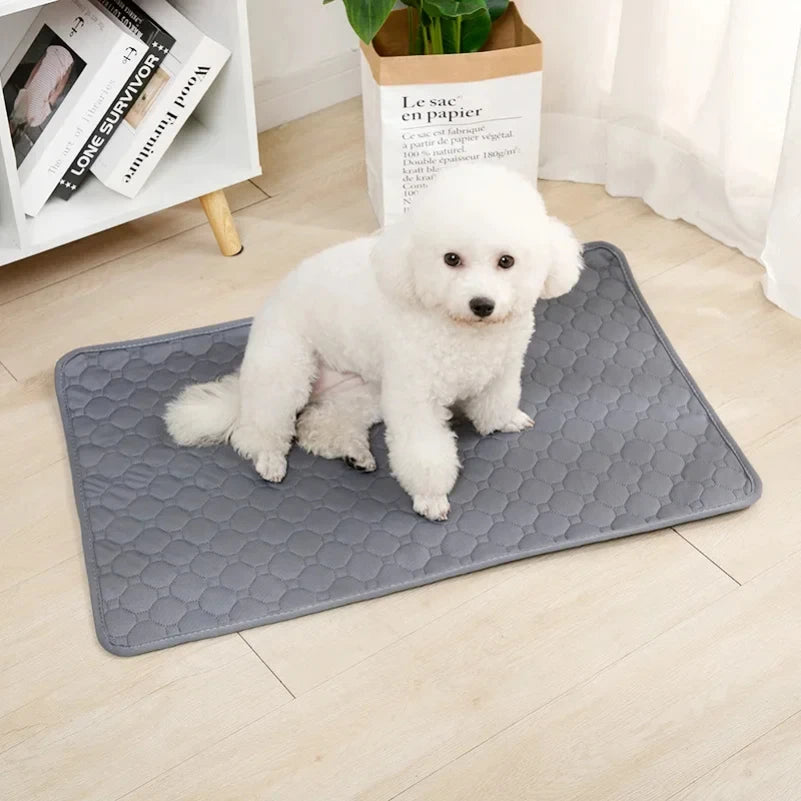 Dog Pee Pad Blanket Reusable