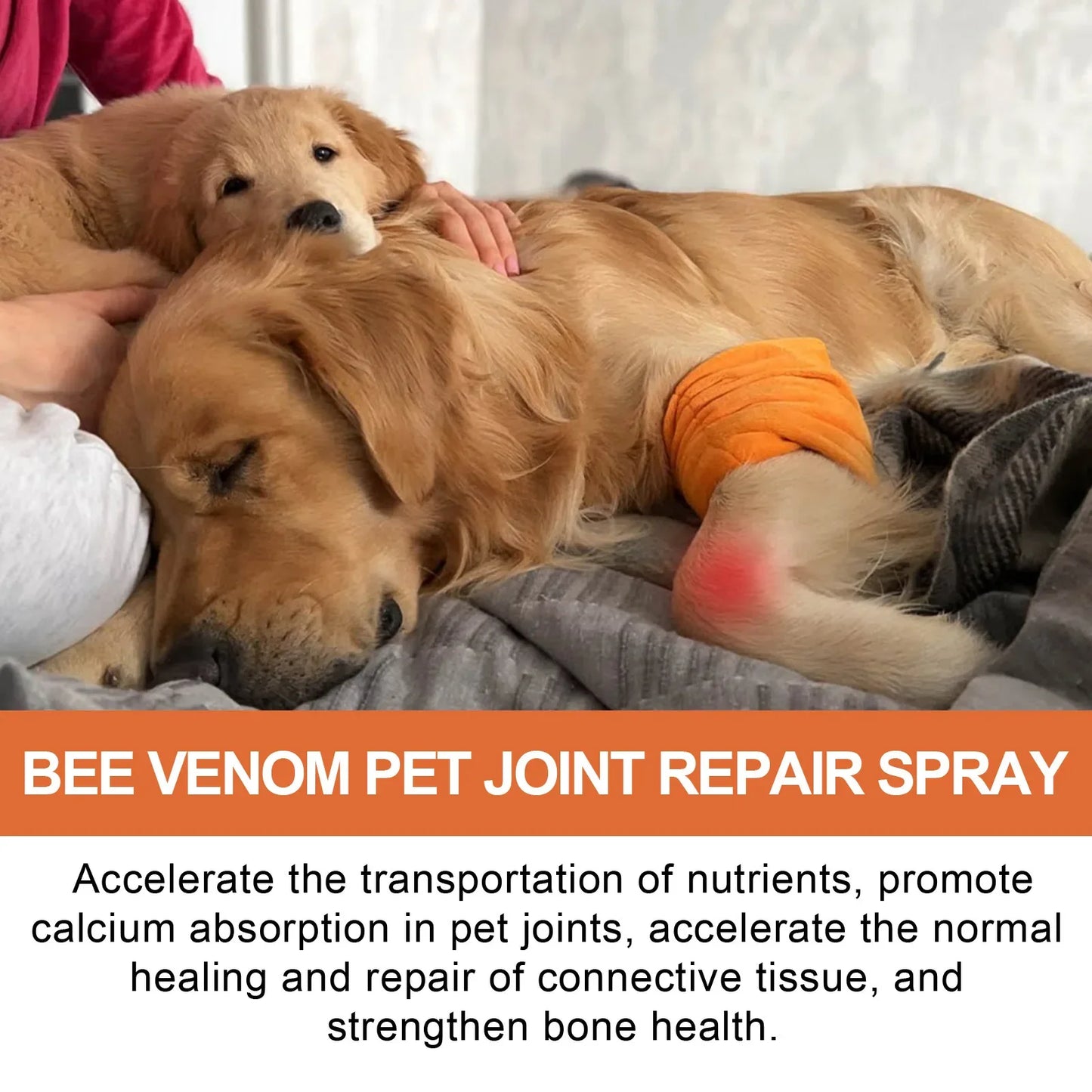 Pet Joint Repair Spray Bone Deformity