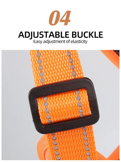 Multi Functional Nylon Reflective Dog Harness