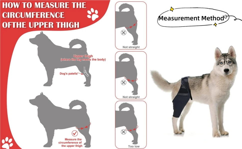 Pet Dog Knee Brace For Joint Pain