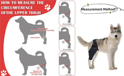 Pet Dog Knee Brace For Joint Pain