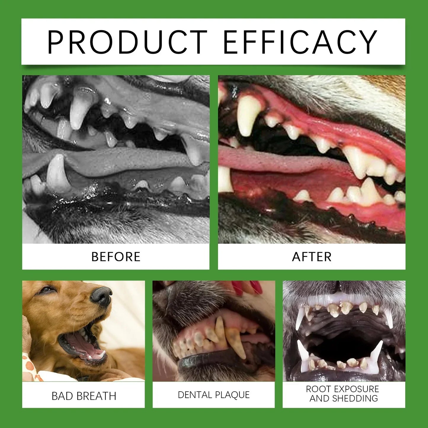 Pet Teeth Cleaning Powder