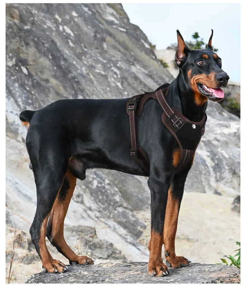 Multi Functional Nylon Reflective Dog Harness