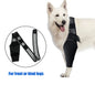 Pet Dog Knee Brace For Joint Pain