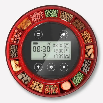 Automatic Food Dispenser with Timer