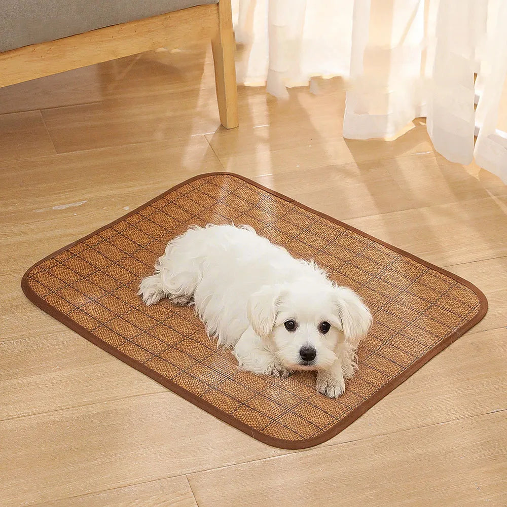 Summer Pet Cooling Mat