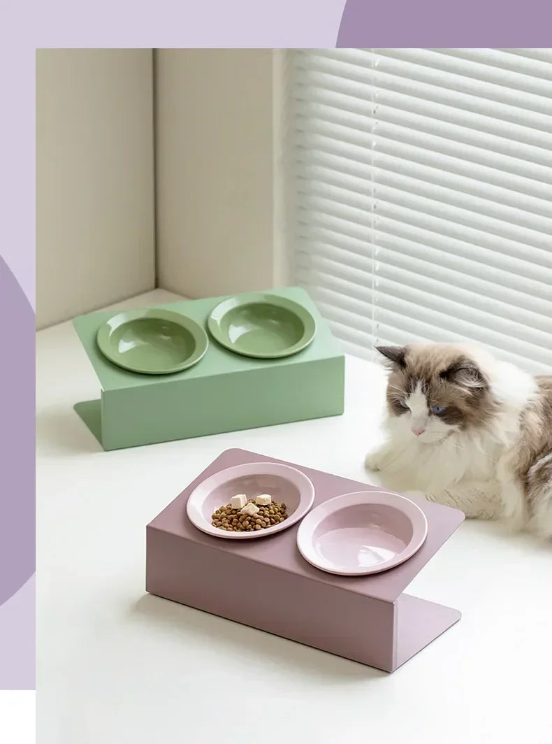 Pet Elevated Raised Food Water Bowls
