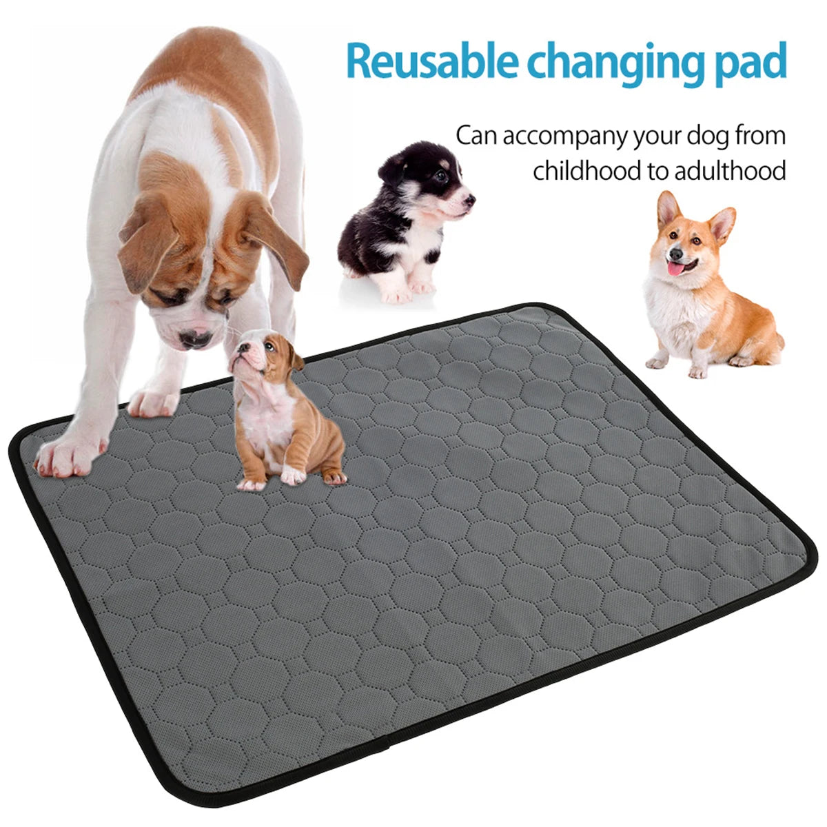Reusable Puppy Training Pad