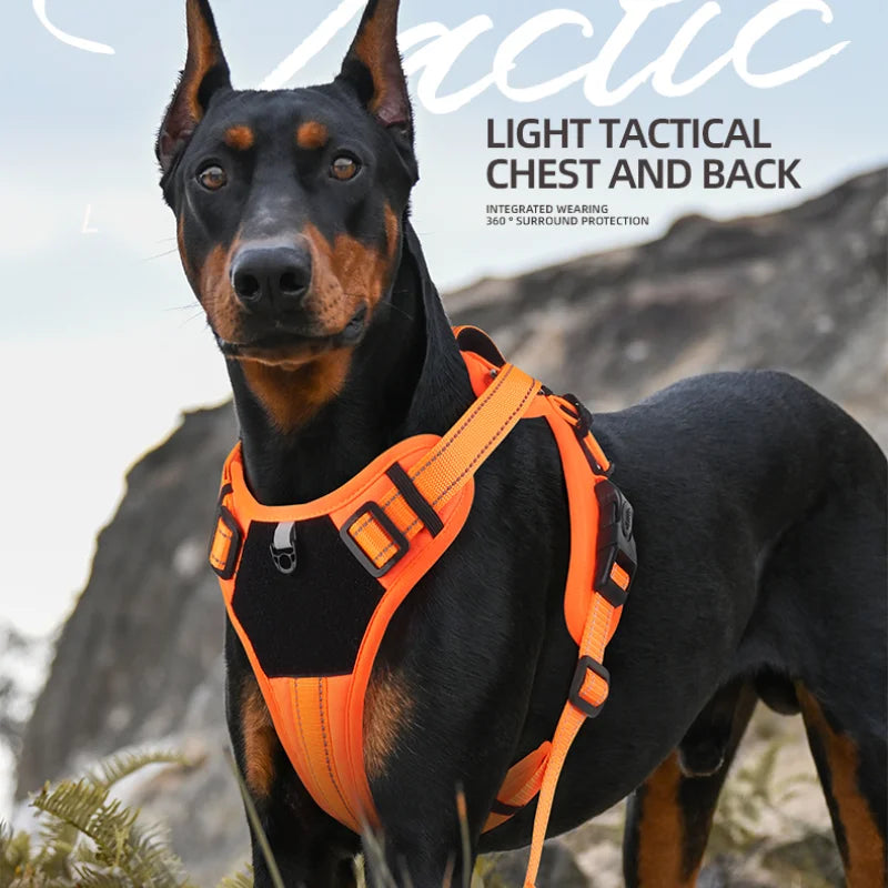 Multi Functional Nylon Reflective Dog Harness
