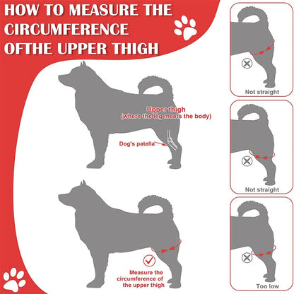 Pet Dog Knee Brace For Joint Pain