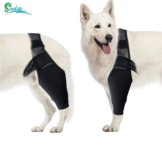 Pet Dog Knee Brace For Joint Pain